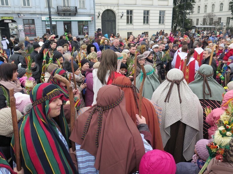 Zdjęcie 36: Palmowa Niedziela w Piotrkowie