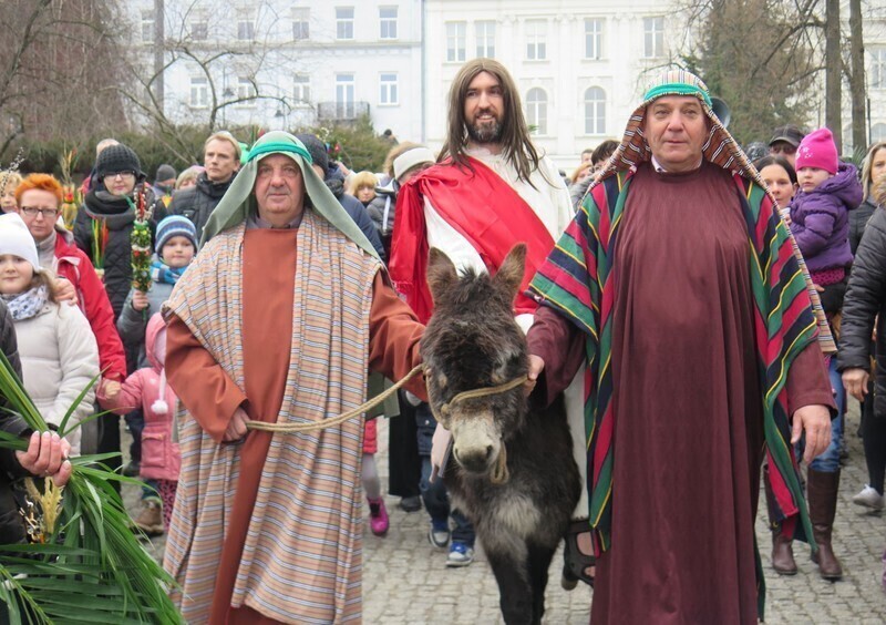 Zdjęcie 39: Palmowa Niedziela w Piotrkowie