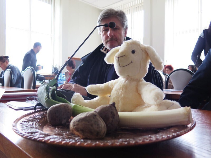 Zdjęcie 3: Buraki, pory i jeden baran na sesji Rady Miasta w Piotrkowie 