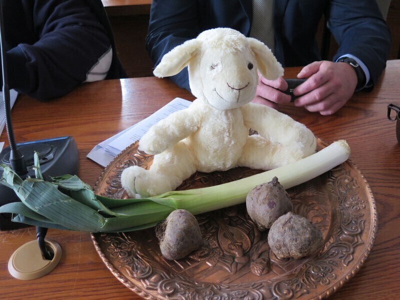 Zdjęcie 5: Buraki, pory i jeden baran na sesji Rady Miasta w Piotrkowie 