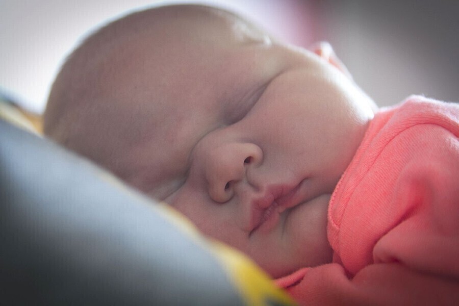 Rodzina 500 plus w gm. Wola Krzysztoporska