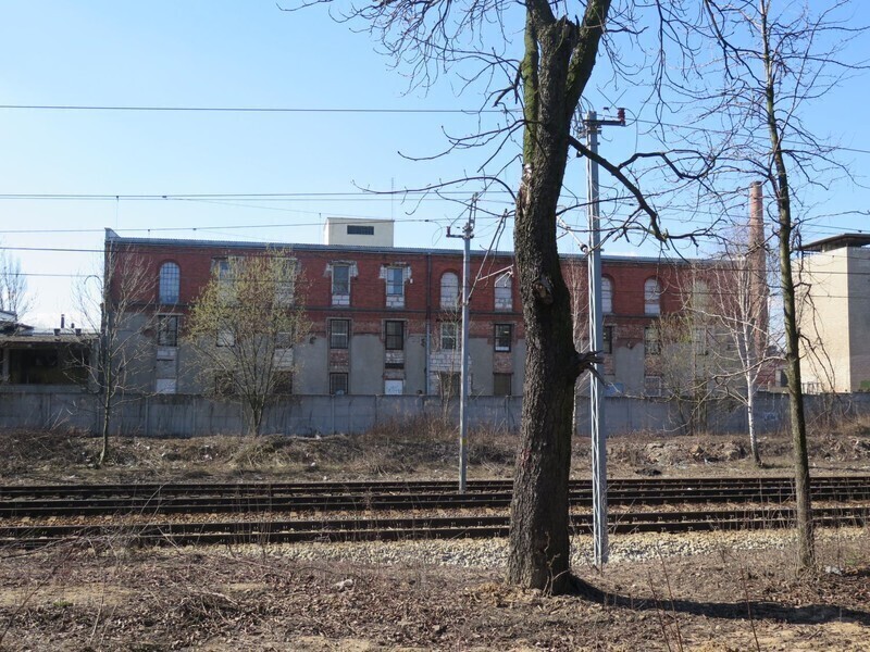 Zdjęcie 2: PKP PLK chcą nam wyciąć 20 drzew