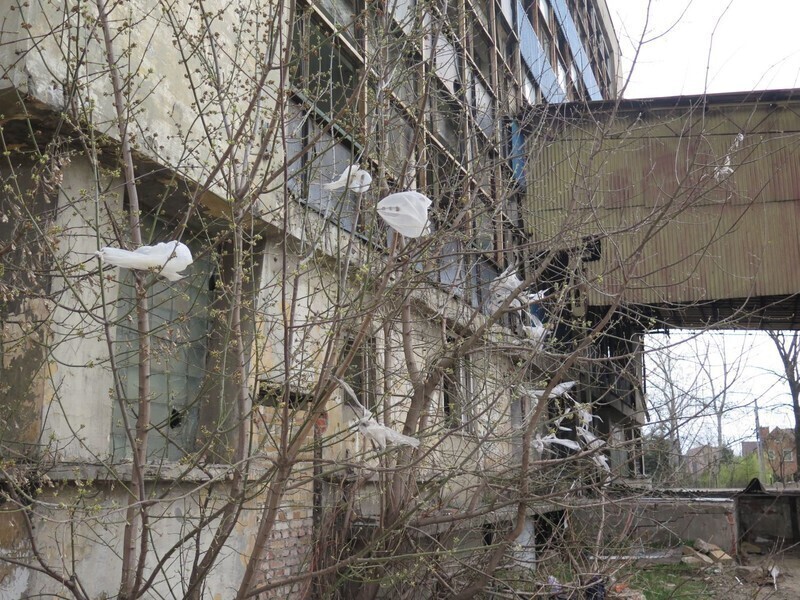 Zdjęcie 47: Czarnobyl czy Piotrków?