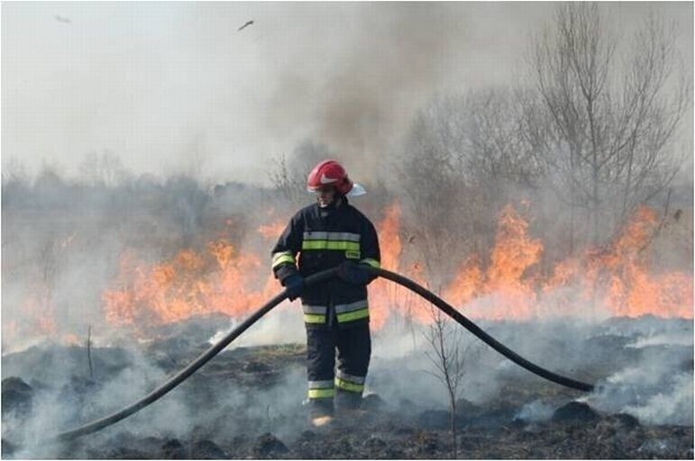 Sezon na bezmyślność rozpoczęty. Strażacy znów apelują