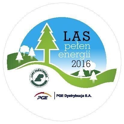 Zdjęcie 1: Posadzili las