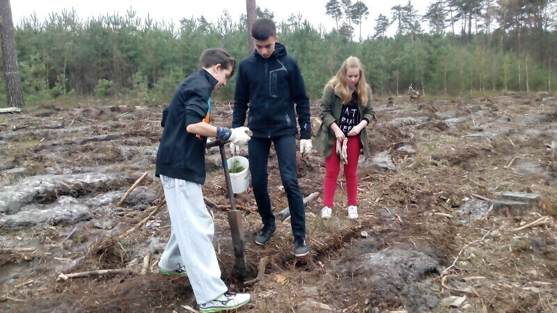 Zdjęcie 2: Posadzili las