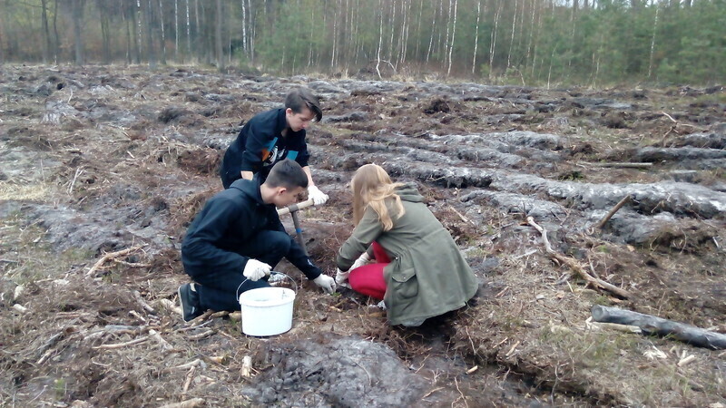 Zdjęcie 5: Posadzili las