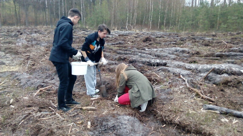 Zdjęcie 7: Posadzili las