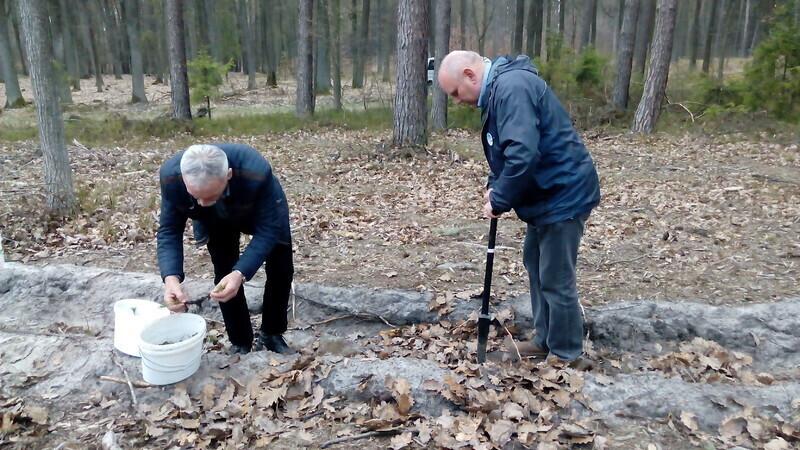 Zdjęcie 9: Posadzili las