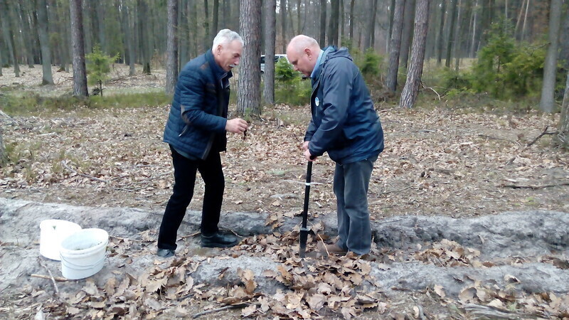 Zdjęcie 10: Posadzili las