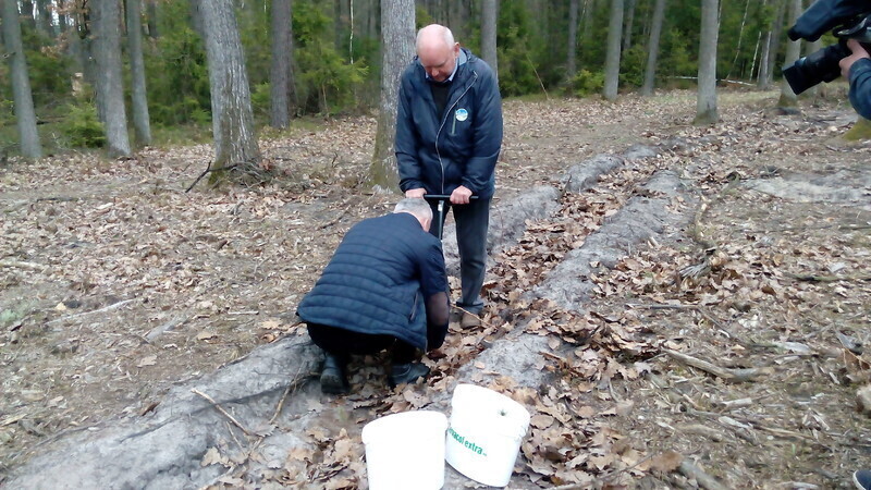 Zdjęcie 11: Posadzili las