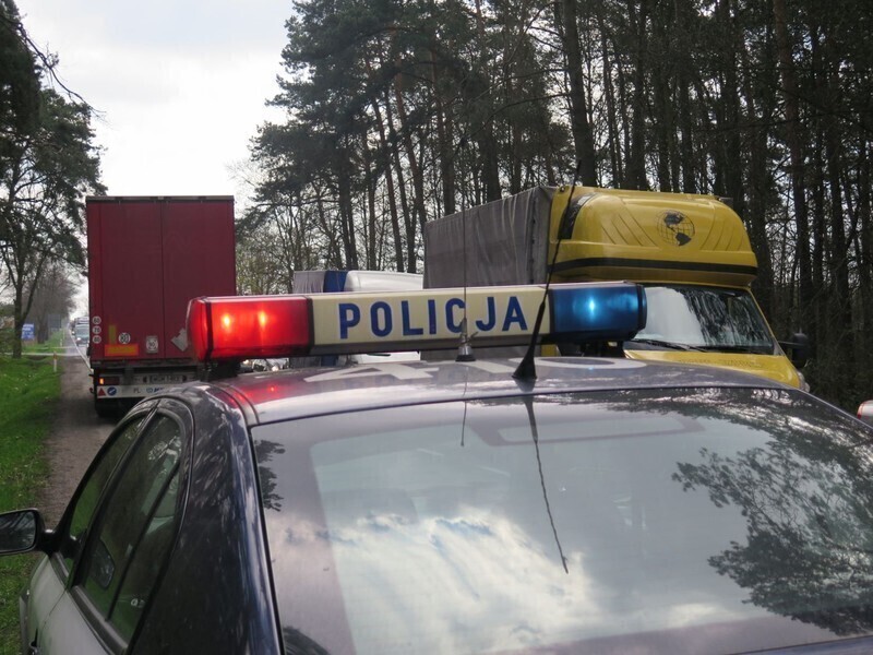 Zdjęcie 7: Wypadek przed Poniatowem. Fiesta wylądowała w lesie