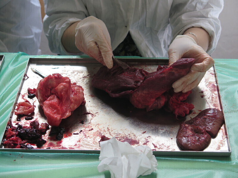 Zdjęcie 3: Dzień otwartych drzwi w 