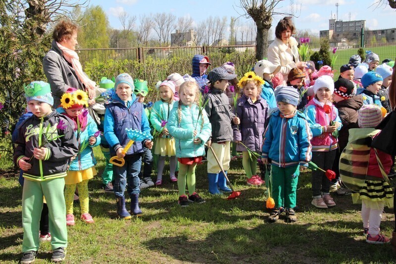 Zdjęcie 4: Przedszkolaki mają swój ekoogródek