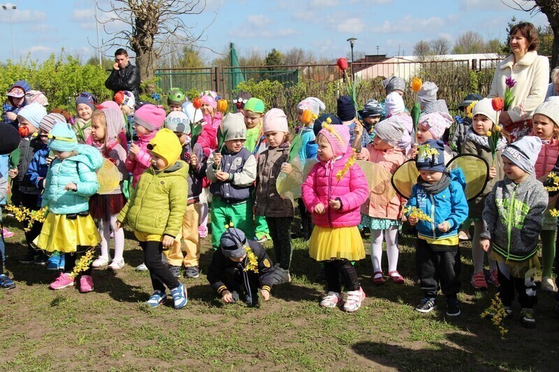 Zdjęcie 5: Przedszkolaki mają swój ekoogródek