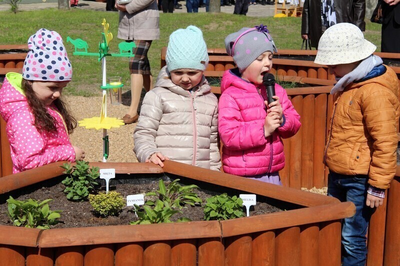 Zdjęcie 7: Przedszkolaki mają swój ekoogródek