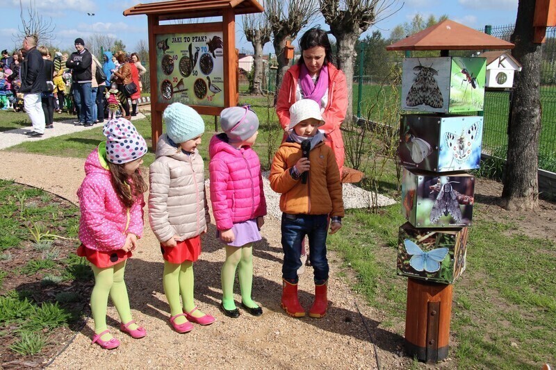 Zdjęcie 8: Przedszkolaki mają swój ekoogródek