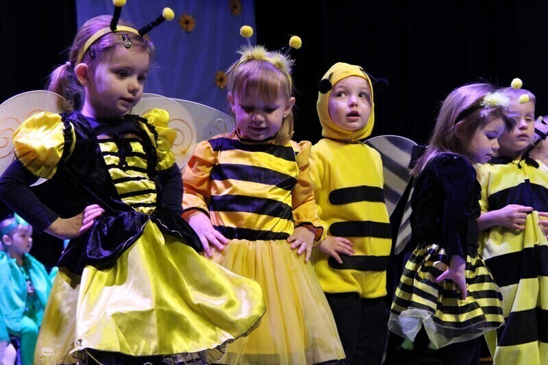 Zdjęcie 10: Przedszkolaki mają swój ekoogródek