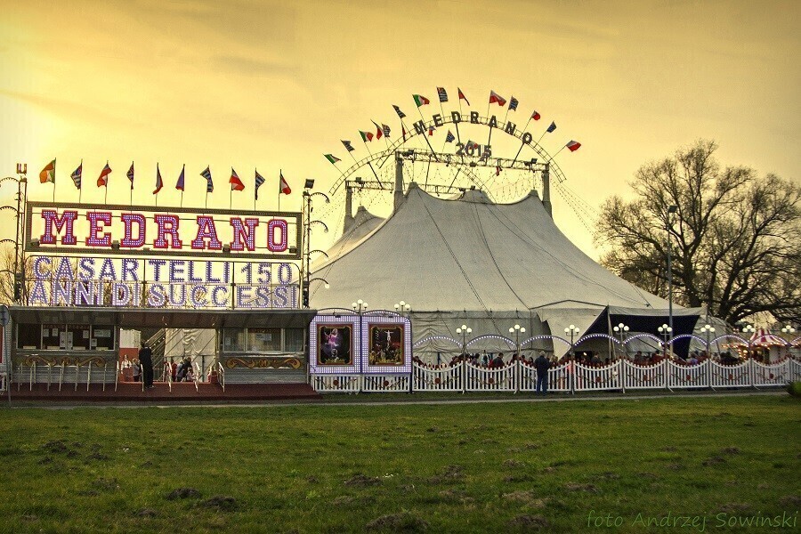 Cyrk Medrano w Piotrkowie - konkurs