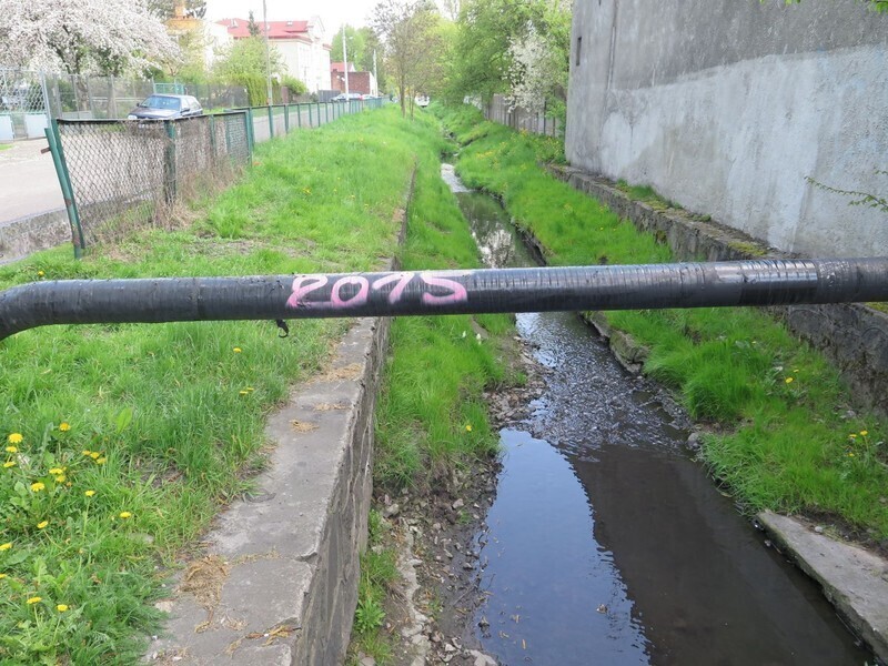 Zdjęcie 20: Dlaczego Strawa śmierdzi? [GALERIA]