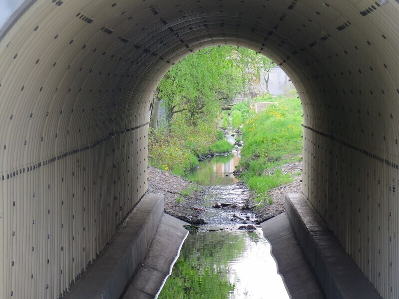 Zdjęcie 22: Dlaczego Strawa śmierdzi? [GALERIA]