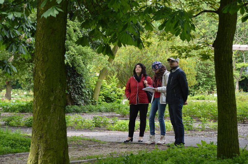 Zdjęcie 3: Liczyli ptaki w parku Poniatowskiego 