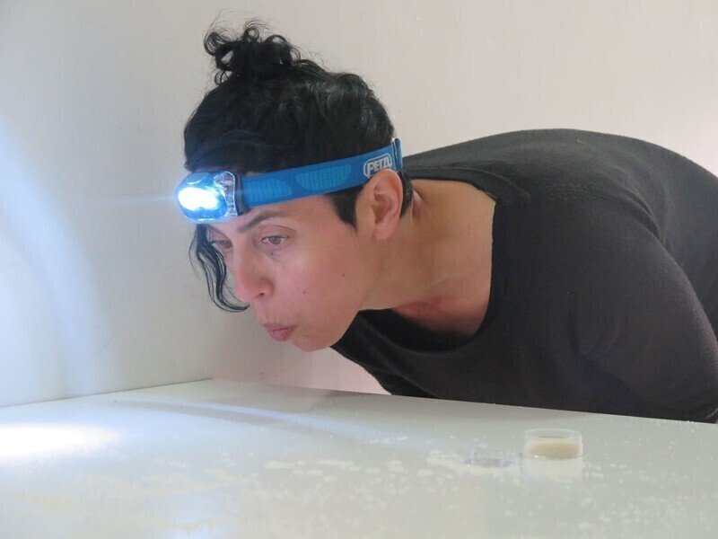 Zdjęcie 12: Zobacz performerów w (inter)akcji!