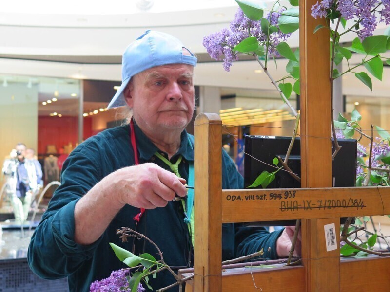 Zdjęcie 6: Focus Mall: Przykleili chłopaka do słupa 