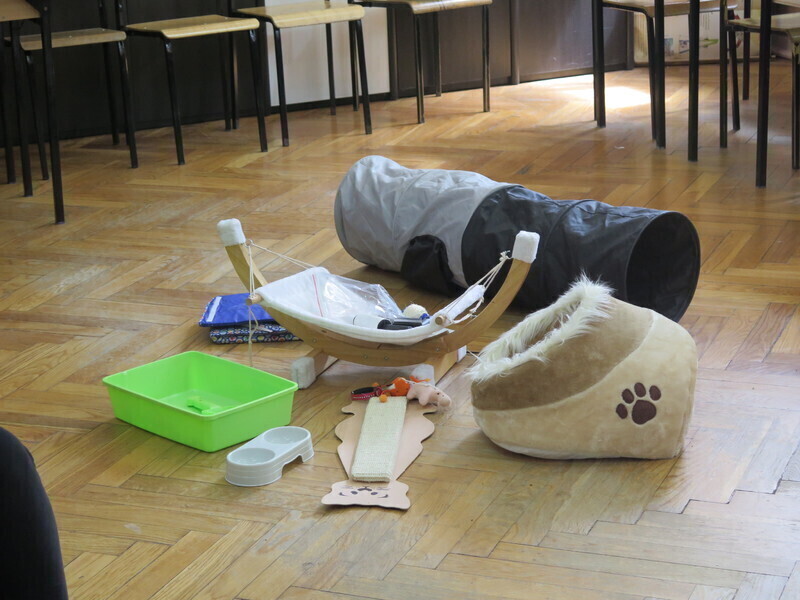 Zdjęcie 2: Lekcja z kotem w SP nr 16