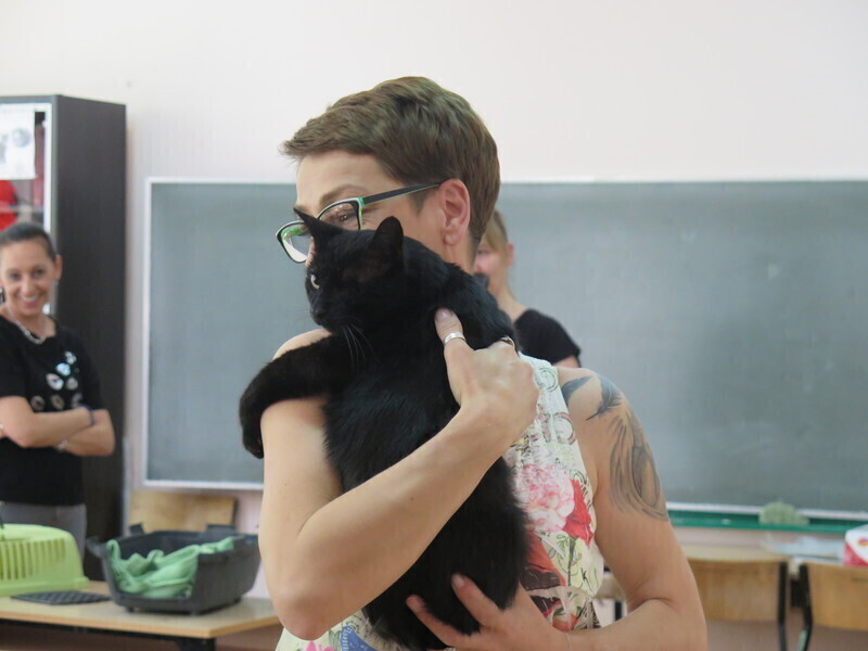 Zdjęcie 4: Lekcja z kotem w SP nr 16