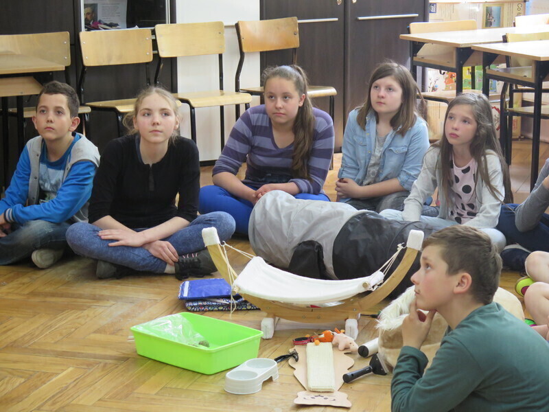 Zdjęcie 7: Lekcja z kotem w SP nr 16