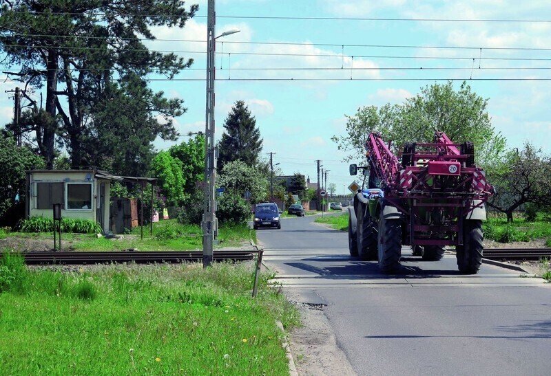 Zdjęcie 4: Na Moryca paranoja trwa 