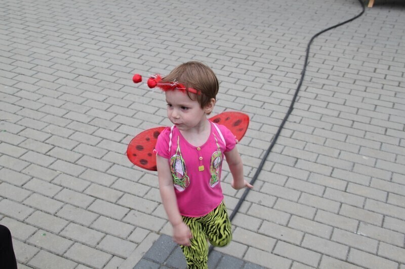 Zdjęcie 17: Zatańczyli i zaśpiewali dla wszystkich mam!