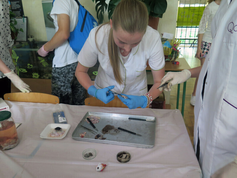 III LO otwiera drzwi dla gimnazjalistów