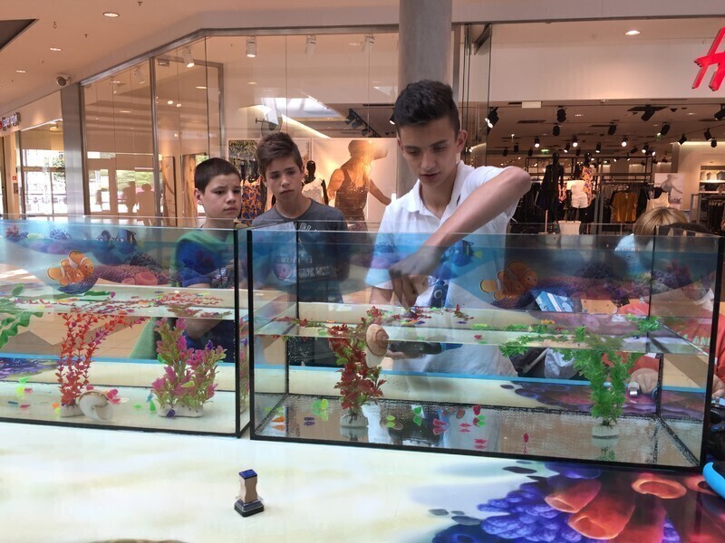 Zdjęcie 6:  Podwodne atrakcje dla najmłodszych