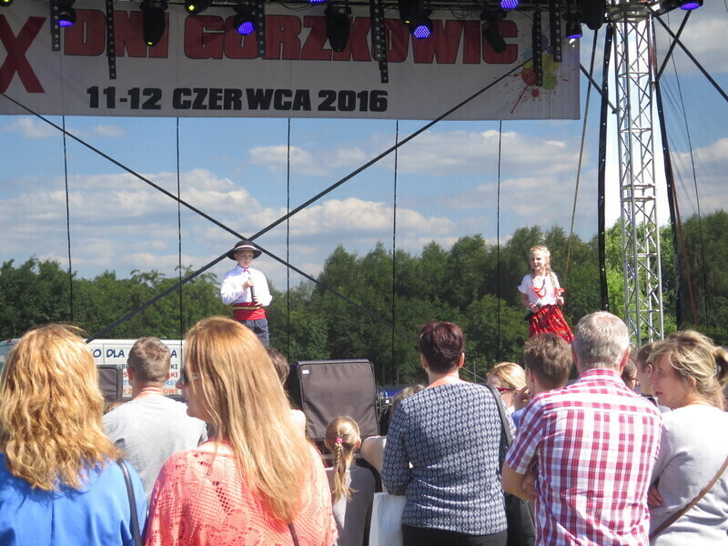 Zdjęcie 6: Drugi dzień IX Dni Gorzkowic
