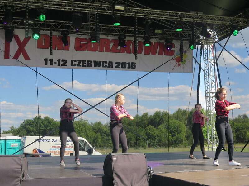 Zdjęcie 13: Drugi dzień IX Dni Gorzkowic