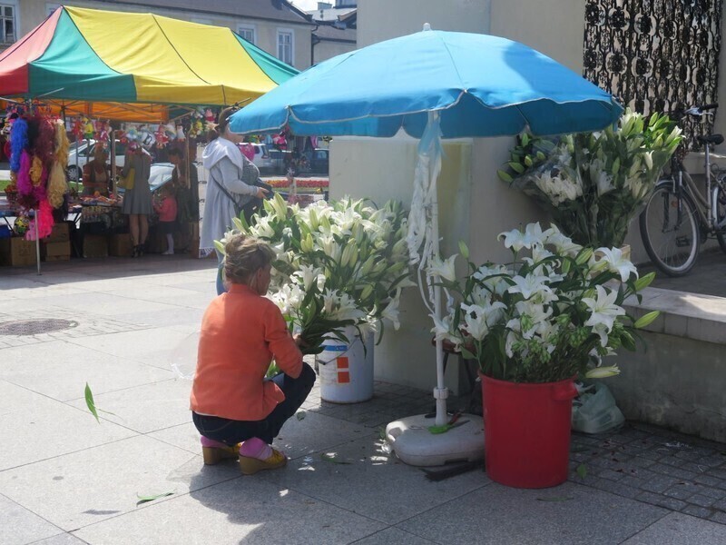 Zdjęcie 4: Uroczystość świętego Antoniego u Bernardynów 