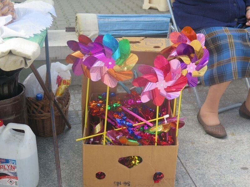 Zdjęcie 9: Uroczystość świętego Antoniego u Bernardynów 