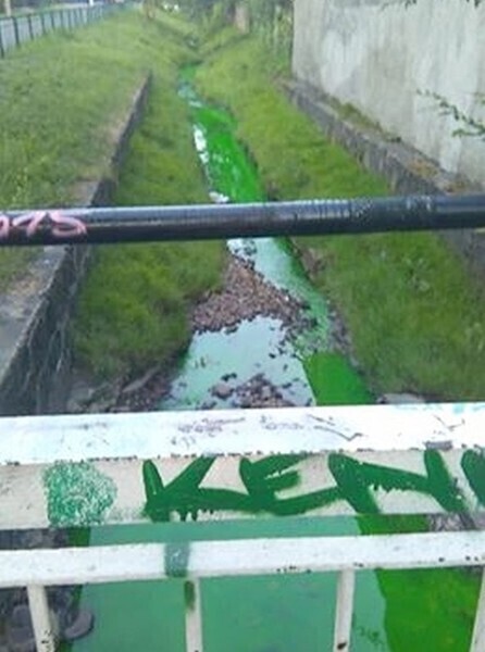 Zdjęcie 4: Dlaczego Strawa jest zielona? 