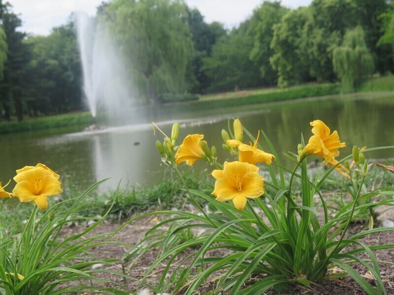 Zdjęcie 1: W niedzielę świętujemy 100-lecie parku w Piotrkowie