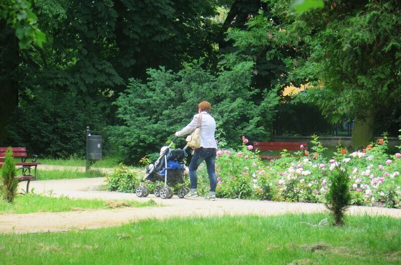 Zdjęcie 6: W niedzielę świętujemy 100-lecie parku w Piotrkowie
