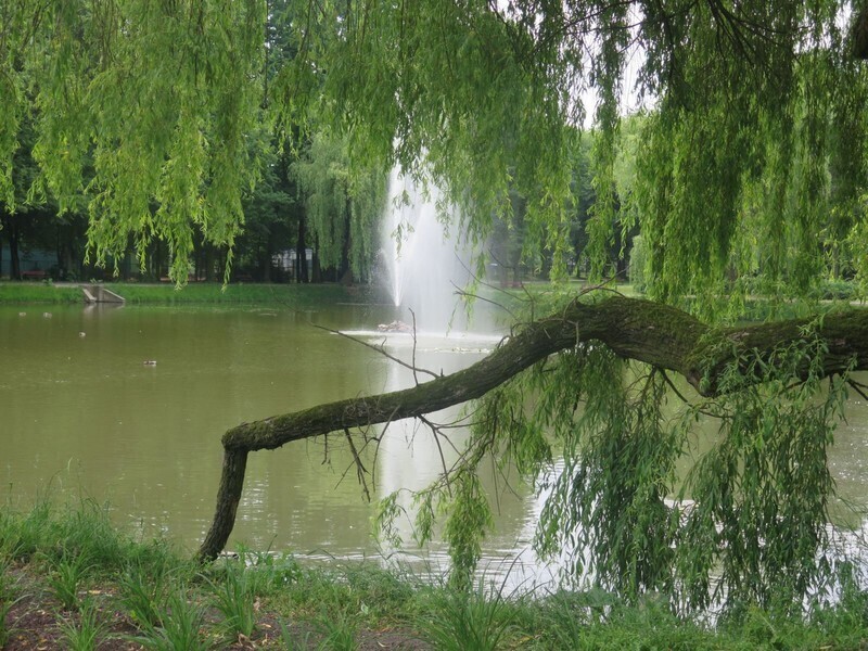 Zdjęcie 7: W niedzielę świętujemy 100-lecie parku w Piotrkowie