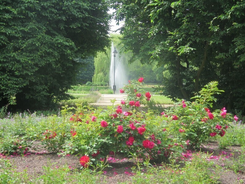 Zdjęcie 9: W niedzielę świętujemy 100-lecie parku w Piotrkowie