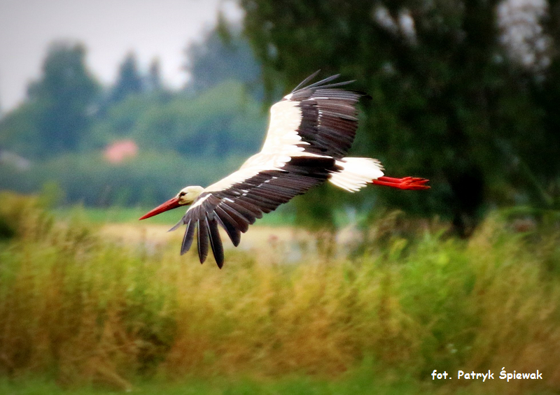 Piękno powiatu w obiektywie - rusza konkurs fotograficzny