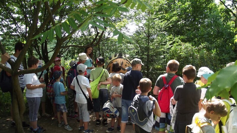 Zdjęcie 2: Oglądali gigantyczne bakterie i owady 