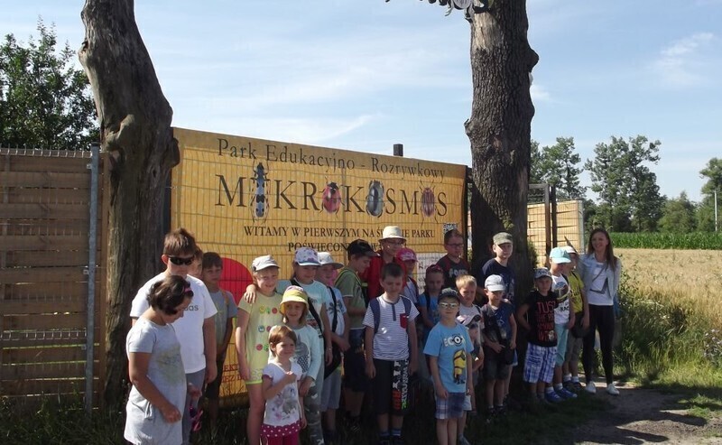 Zdjęcie 3: Oglądali gigantyczne bakterie i owady 