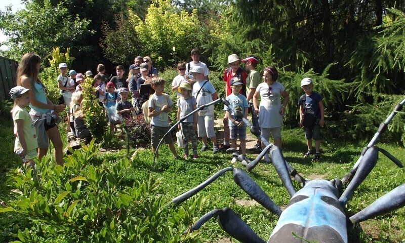 Zdjęcie 5: Oglądali gigantyczne bakterie i owady 