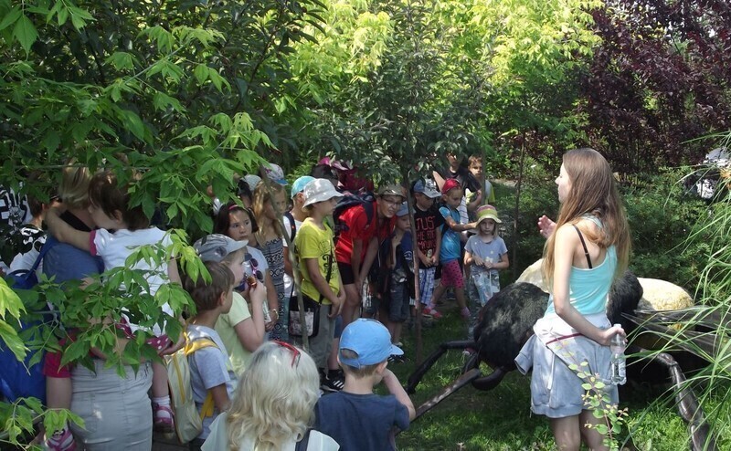 Zdjęcie 6: Oglądali gigantyczne bakterie i owady 