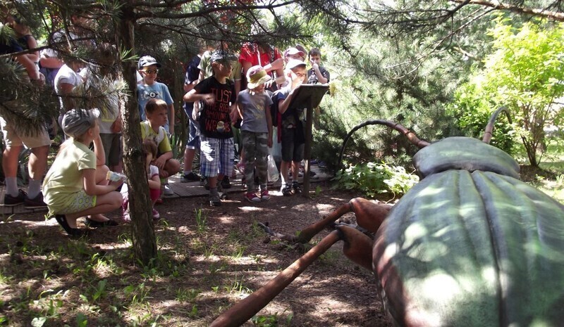 Zdjęcie 8: Oglądali gigantyczne bakterie i owady 